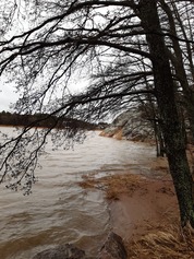 Ispoisten uimavesistä puhtaampaa