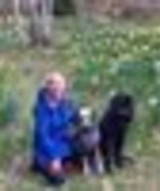 avatar Hällström Liisa