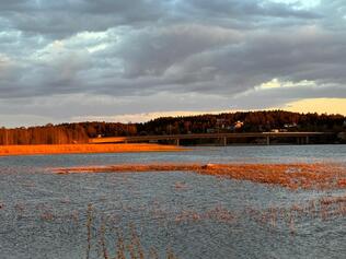 Hirvensalonsillan valaiseminen