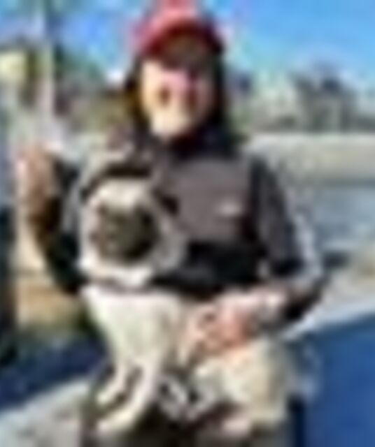 avatar Anna Honkonen