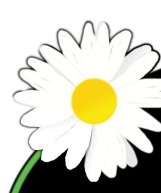 avatar DaisyLadies ry