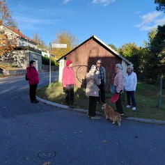 KaupunginosaKävelyt