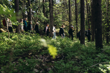 Luontolähtöisellä seikkailuliikunnalla hyvinvointia nuorille Turussa! 
