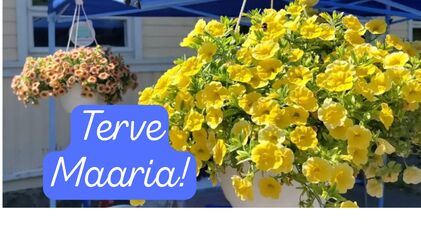 Maarian tarinat ja paikallisviestintä