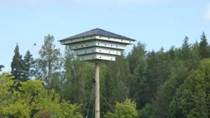 Tervapääskyhotelleja Turkuun